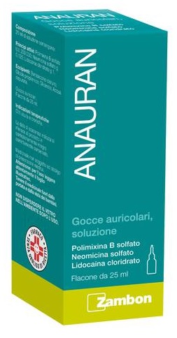 ANAURAN*GTT AURIC FL 25ML - Farmacia-flash.it