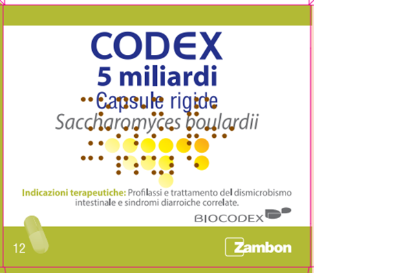 CODEX*12CPS 5MLD 250MG - Farmacia-flash.it