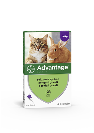 ADVANTAGE*4PIP 0,8ML SPOTON - Farmacia-flash.it
