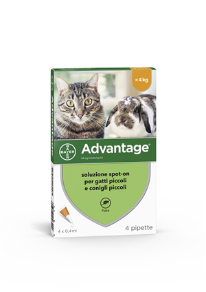 ADVANTAGE*4PIP 0,4ML SPOTON - Farmacia-flash.it
