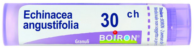 ECHINACEA ANGUSTIFOLIA 30 CH GRANULI - Farmacia-flash.it