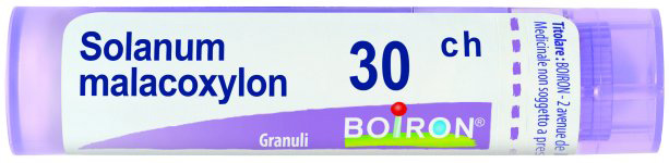 SOLANUM MALACOXYLON 30CH GRANULI 4G - Farmacia-flash.it