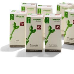 CISTO MACERATO GLICERICO 50 ML - Farmacia-flash.it