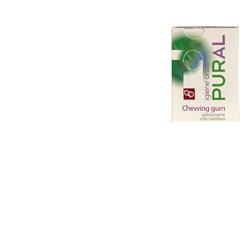 PURAL CHEWING GUM 14 G IGIENIZZANTE - Farmacia-flash.it