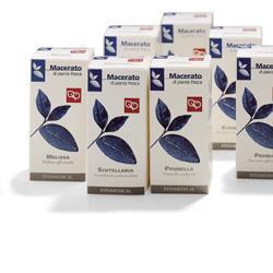 FIENO GRECO 100ML TM - Farmacia-flash.it