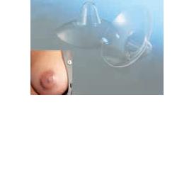 AMEDA CAPPELETTI SENO MEDIA 2 PEZZI - Farmacia-flash.it