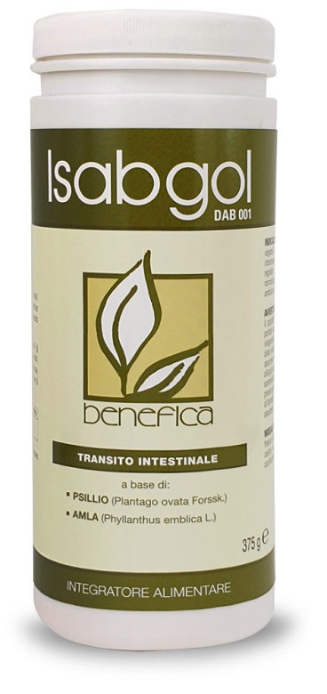 ISABGOL DAB 001 375 G - Farmacia-flash.it