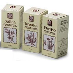 OLIO GERME GRANO 100 ML 501 - Farmacia-flash.it