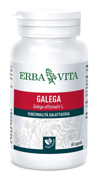 GALEGA 60 CAPSULE - Farmacia-flash.it