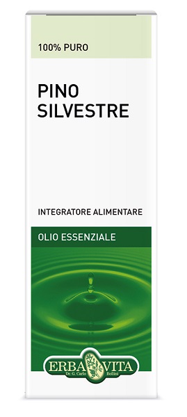 PINO SILVESTRE OLIO ESSENZIALE 10 ML - Farmacia-flash.it