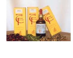 FICO GEMME 100ML MG - Farmacia-flash.it