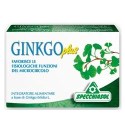 GINKGO PLUS 30 CAPSULE - Farmacia-flash.it