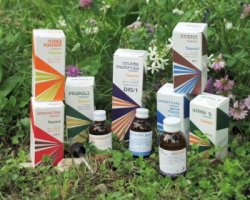 RAEMIL CARCIOFO COMPOSTO 25 ML - Farmacia-flash.it