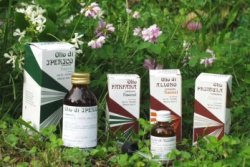 RAEMIL ROSMARINO OLIO 25 ML - Farmacia-flash.it