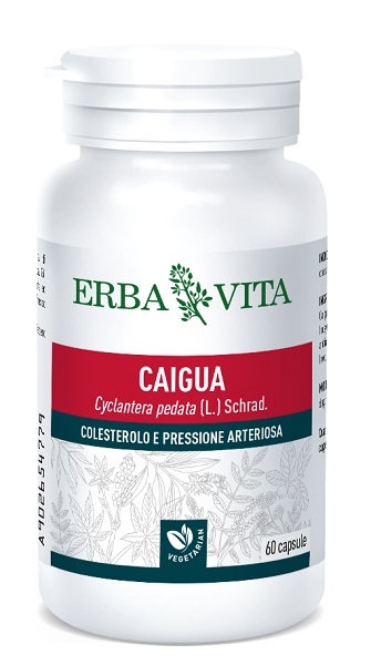 CAIGUA 60 CAPSULE 400 MG - Farmacia-flash.it