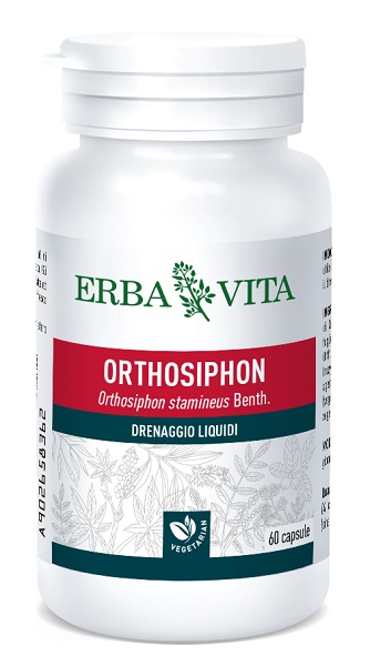 ORTOSIPHON 60 CAPSULE 400 MG - Farmacia-flash.it
