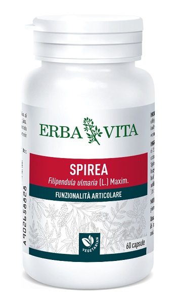 SPIREA ULMARIA 60 CAPSULE 400 MG - Farmacia-flash.it