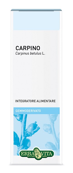 GEMMODERIVATO CARPINO 50 ML - Farmacia-flash.it