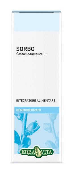 GEMMODERIVATO SORBO 50 ML - Farmacia-flash.it