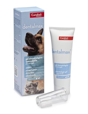 DENTALMAX GEL STOMATOLOGICO 50 ML - Farmacia-flash.it