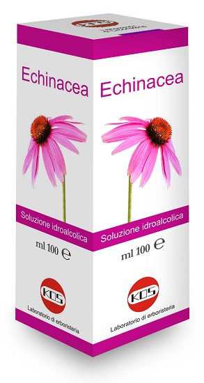ECHINACEA SOLUZIONE IDROALCOLICA PIANTA FRESCA 100 ML - Farmacia-flash.it