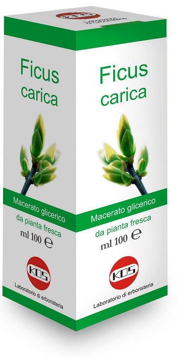 FICUS CARICA MG 100 ML GOCCE - Farmacia-flash.it