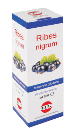 RIBES NIGRUM MG 100 ML GOCCE - Farmacia-flash.it
