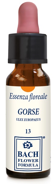 GORSE ORIGINAL 10ML GTT - Farmacia-flash.it