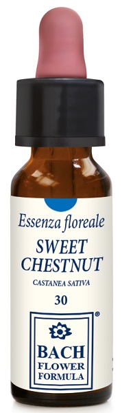 SWEET CHESTNUT ORIGINAL 10ML - Farmacia-flash.it