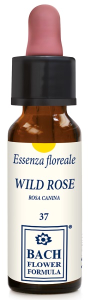 WILD ROSE ORIGINAL 10ML GTT - Farmacia-flash.it