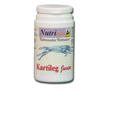 KARTILEG J 60TAV - Farmacia-flash.it