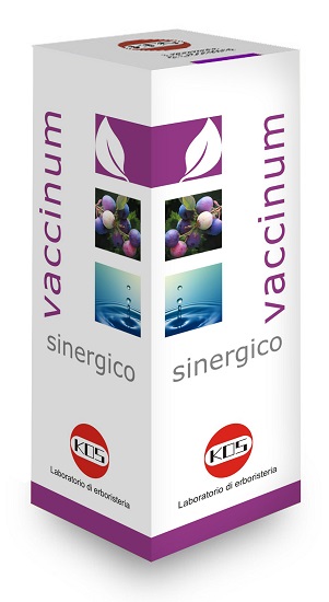 VACCINIUM SINERGICO GOCCE 100 ML - Farmacia-flash.it