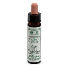 AINSWORTHS STAR OF BETHLEM 10M - Farmacia-flash.it