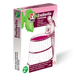 ENOLIEVITO CERVISIAE 100G - Farmacia-flash.it