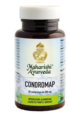CONDROMAP 60 COMPRESSE - Farmacia-flash.it