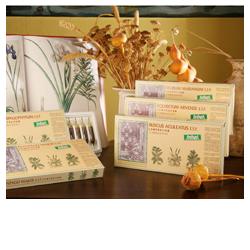 RUSCUS ACUL COMP 12F STV - Farmacia-flash.it