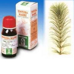 EQUISETO 12 50ML TM - Farmacia-flash.it