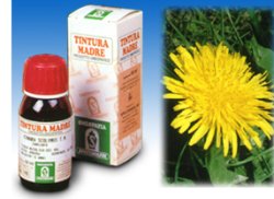 TARASSACO 28 50ML TM - Farmacia-flash.it