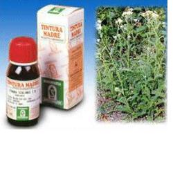 ACHILLEA 51 50ML TM - Farmacia-flash.it