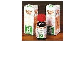 ERISIMO 61 50ML TM - Farmacia-flash.it