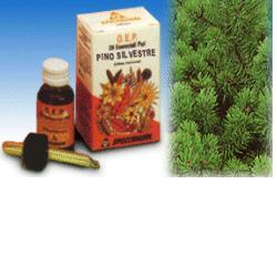 PINO SILVESTRE OLIO ESSENZIALE PURO 10 ML - Farmacia-flash.it