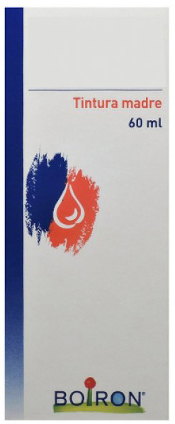 TARAXACUM TINTURA MADRE 60 ML - Farmacia-flash.it