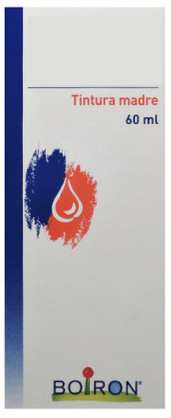 THUYA OCCIDENTALIS TINTURA MADRE 60 ML - Farmacia-flash.it