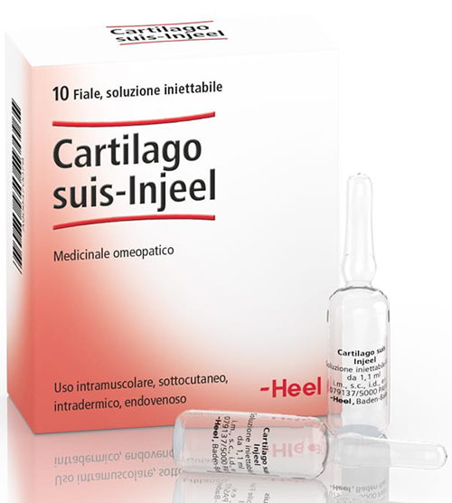 HEEL CARTILAGO SUIS INJEEL 10 FIALE - Farmacia-flash.it