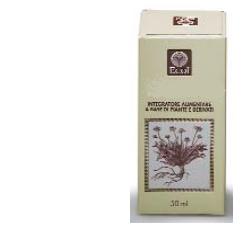 EQUISETO ESTRATTO ANALCOLICO 50 ML ARTICOLO 794 - Farmacia-flash.it