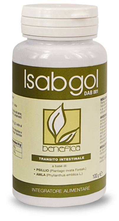 ISABGOL DAB 001 100 G - Farmacia-flash.it