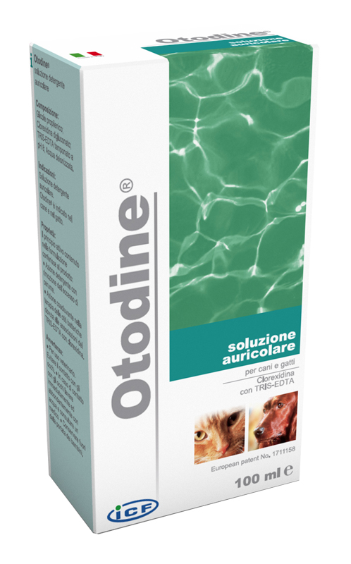 OTODINE DET LIQ 50ML - Farmacia-flash.it