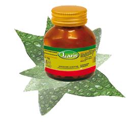 GLUCOMANNANO 60 CAPSULE - Farmacia-flash.it