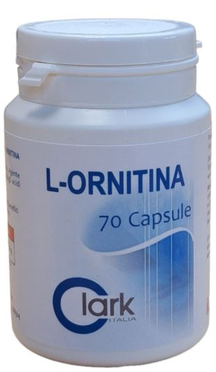 L ORNITINA 70 CAPSULE - Farmacia-flash.it