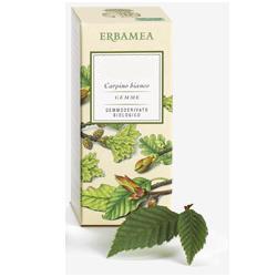 AESCULUS HIPPOCASTANUM GEMME GEMMODERIVATO 50 ML - Farmacia-flash.it